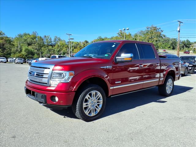 2013 Ford F-150 Platinum - Photo 8