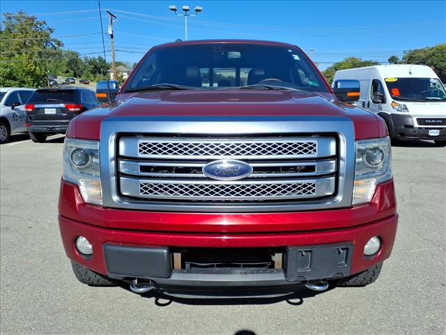 2013 Ford F-150 Platinum - Photo 9