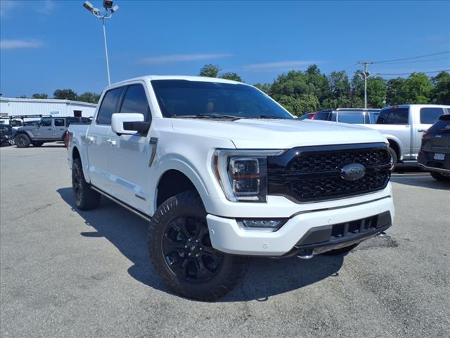 2021 Ford F-150 Platinum
