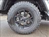 2025 Jeep Gladiator High Tide 4x4 Crew Cab 5 ft. box