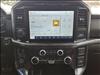 2023 Ford F-150 Tremor - thumbnail 16