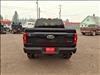 2023 Ford F-150 Tremor - thumbnail 5