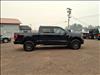 2023 Ford F-150 Tremor - thumbnail 7