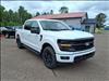 2025 Ford F-150 XLT - thumbnail 8