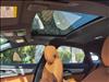 2024 Jaguar XF P250 R-Dynamic SE