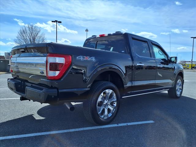2021 Ford F-150 Platinum