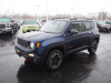 2017 Jeep Renegade Trailhawk
