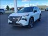 2025 Nissan Rogue SL - thumbnail 19