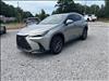 2025 Lexus NX 250 Premium
