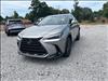 2025 Lexus NX 250 Premium