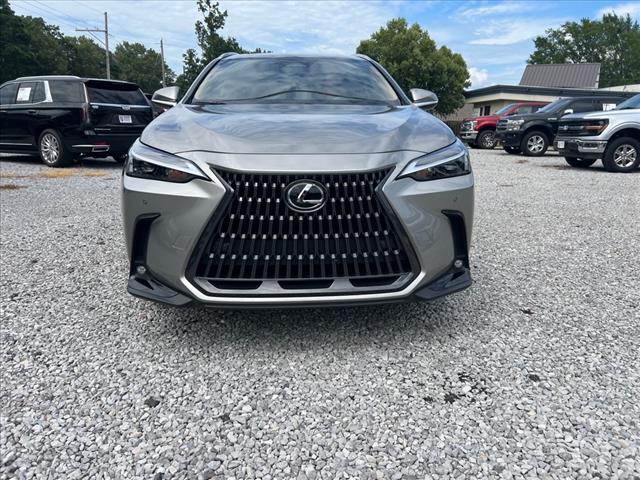 2025 Lexus NX 250 Premium