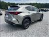 2025 Lexus NX 250 Premium