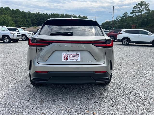 2025 Lexus NX 250 Premium