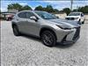 2025 Lexus NX 250 Premium