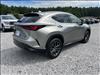 2025 Lexus NX 250 Premium