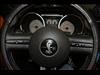 2007 Ford Shelby GT500 Base