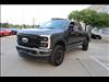2025 Ford F-250 Super Duty Platinum