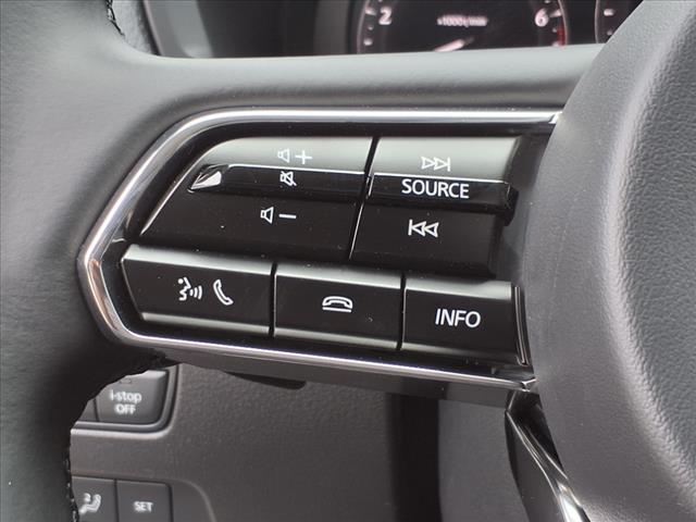 2025 Mazda CX-90 3.3 Turbo Premium