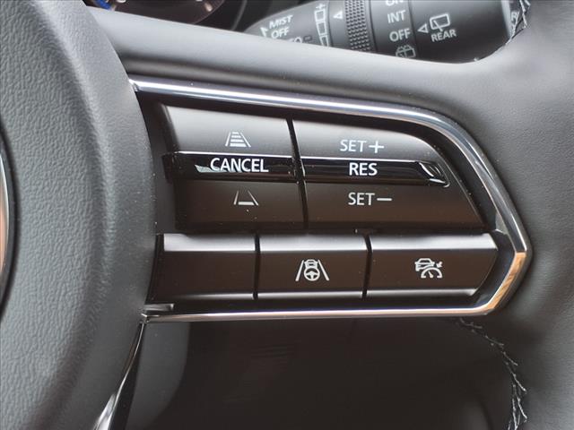 2025 Mazda CX-90 3.3 Turbo Premium Plus