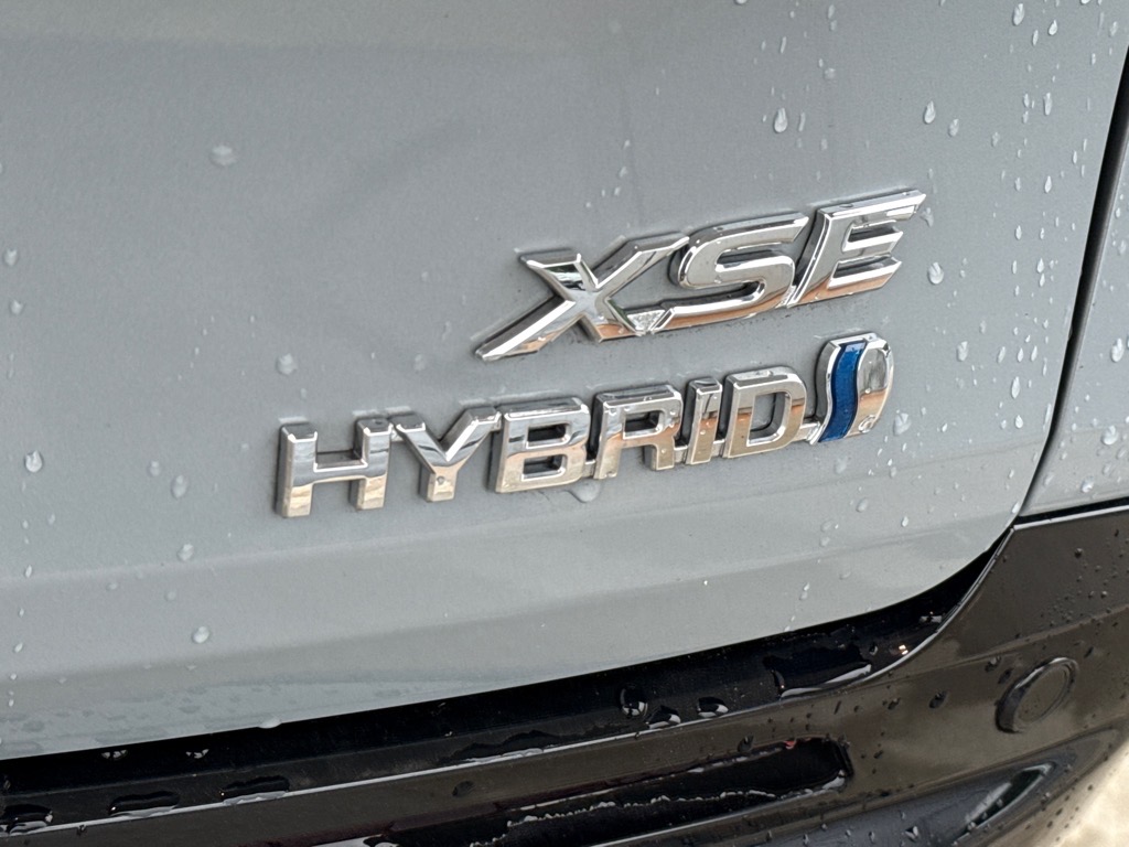 ToyotaSienna10