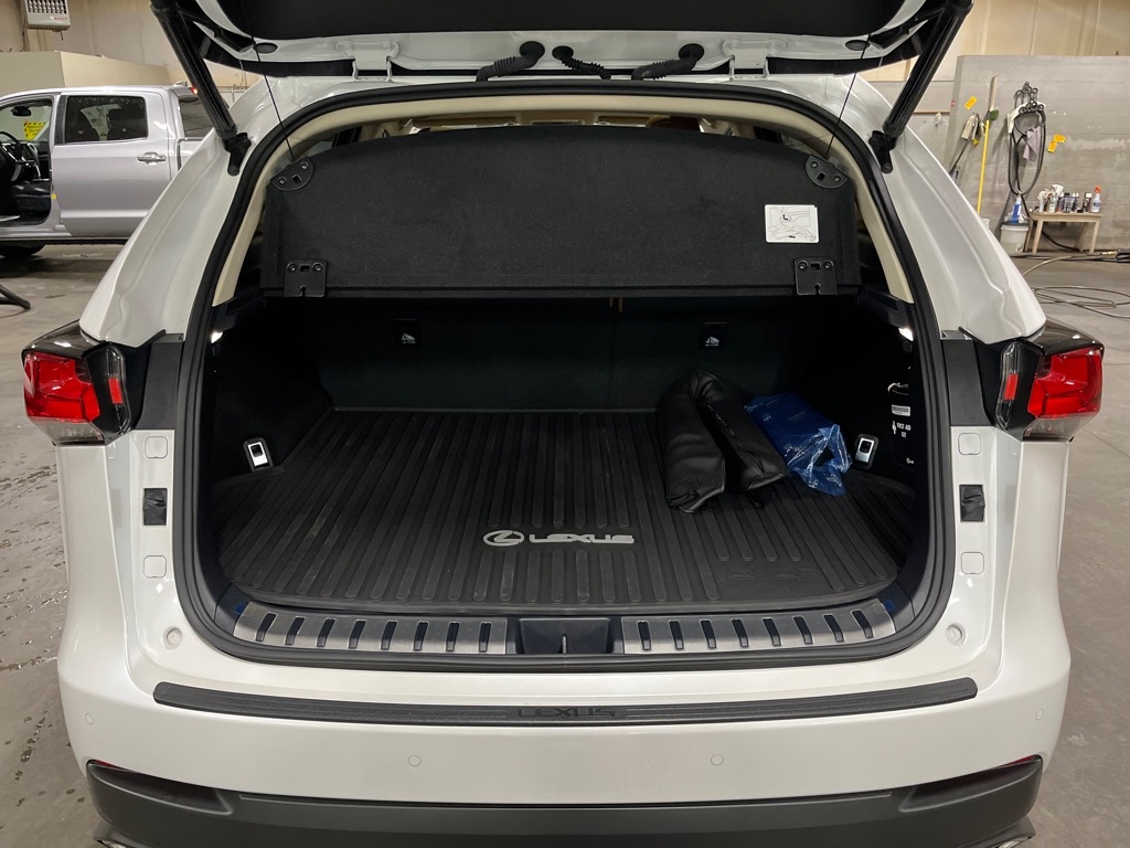 LexusNX 30010