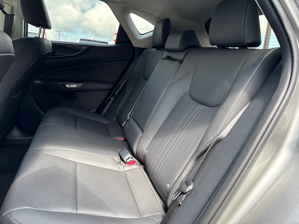 LexusNX 25013