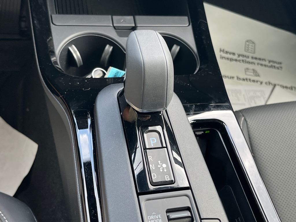 ToyotaPrius19