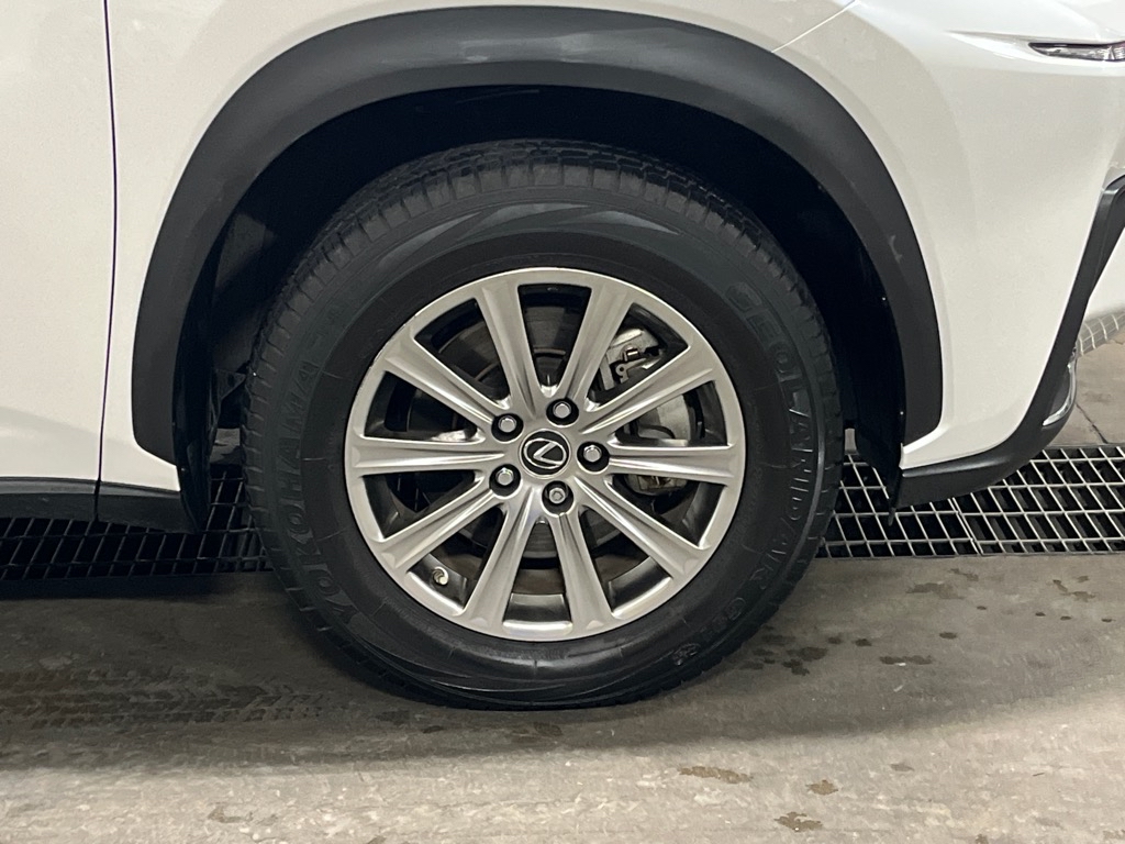 LexusNX 3009
