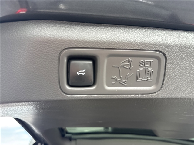 2021 Ford Expedition XLT:66560