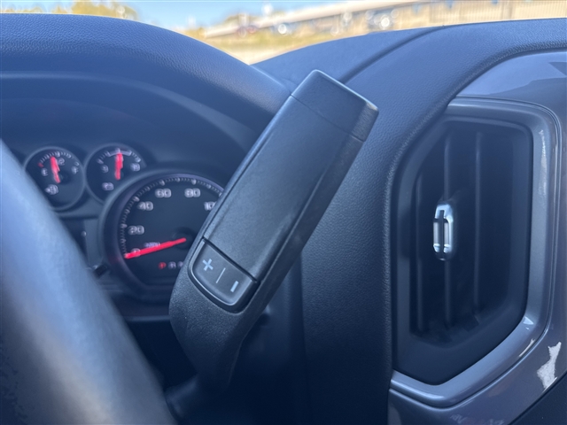 2020 Chevrolet Silverado 1500 Work Truck:C95103