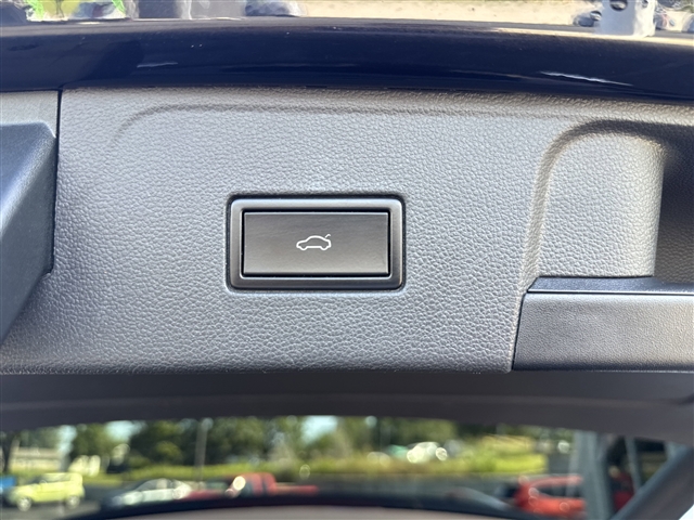 2021 Volkswagen Atlas 3.6L V6 SEL:65591