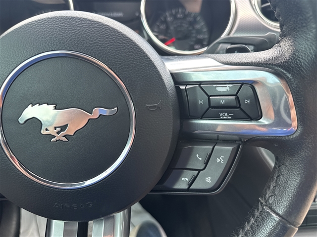 2015 Ford Mustang EcoBoost:56524
