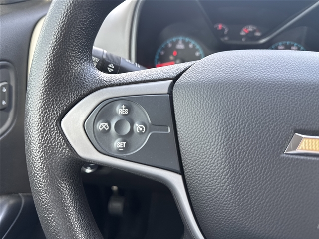 2019 Chevrolet Colorado Work Truck:66538