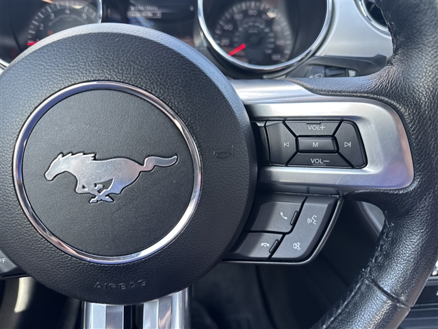 2016 Ford Mustang EcoBoost:565151
