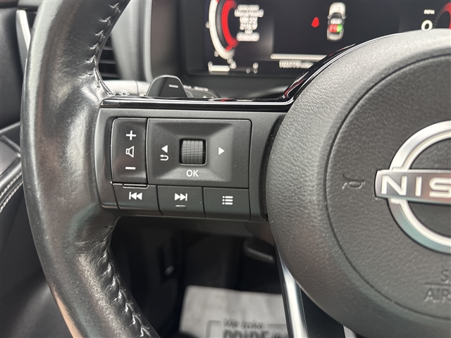 2023 Nissan Rogue Platinum:66598