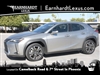 2019 Lexus UX 250h