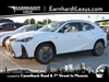 2025 Lexus UX 300h