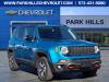 2022 Jeep Renegade