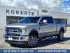 2017 Ford F-250 Super Duty