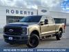 2024 Ford F-250 Super Duty