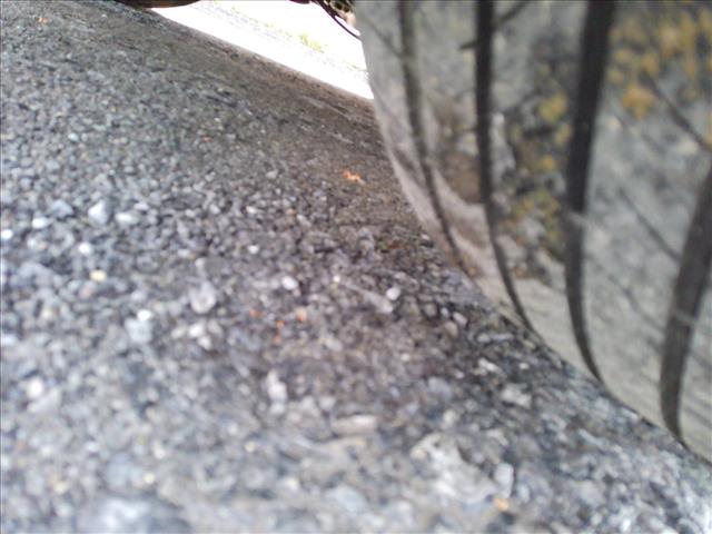 2016 Volkswagen Golf GTI Autobahn 6spd MANUAL:10465