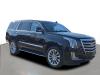 2019 Cadillac Escalade