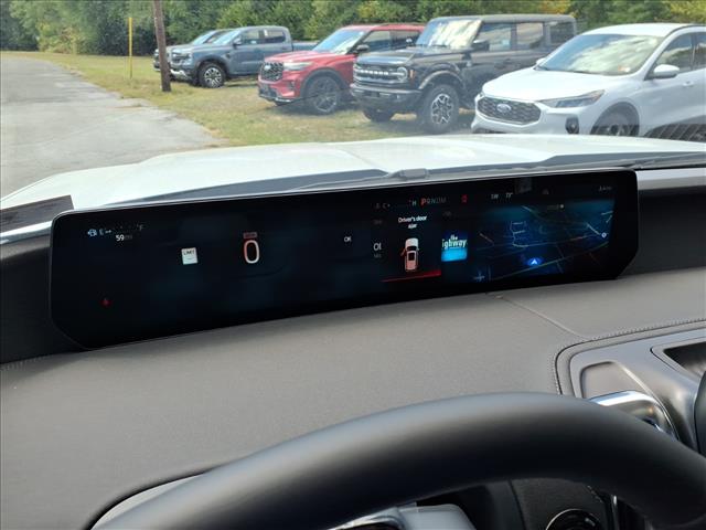 2025 Ford Expedition Platinum - Photo 10