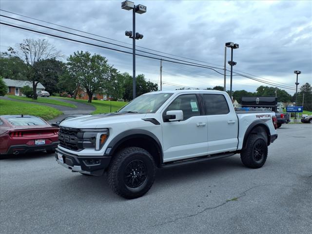 2025 Ford F-150 Raptor - Photo 1