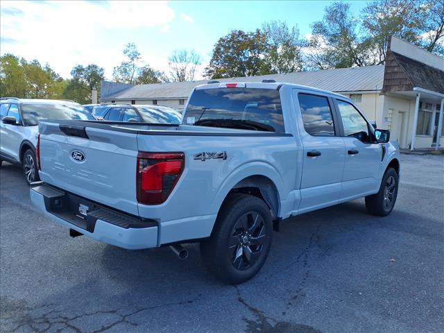 2025 Ford F-150 STX - Photo 3