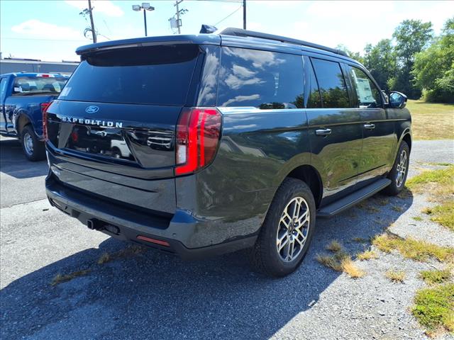 2025 Ford Expedition Active - Photo 4