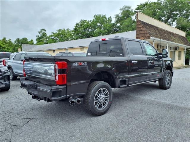 2025 Ford F-250 Super Duty Platinum - Photo 4