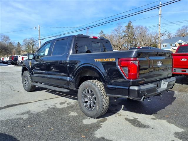 2025 Ford F-150 Tremor - Photo 4