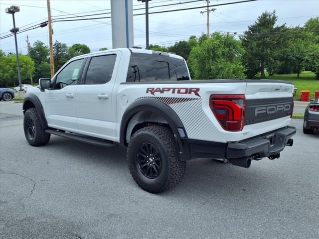 2025 Ford F-150 Raptor - Photo 5