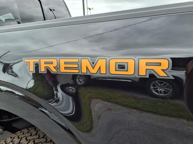 2025 Ford F-150 Tremor - Photo 6